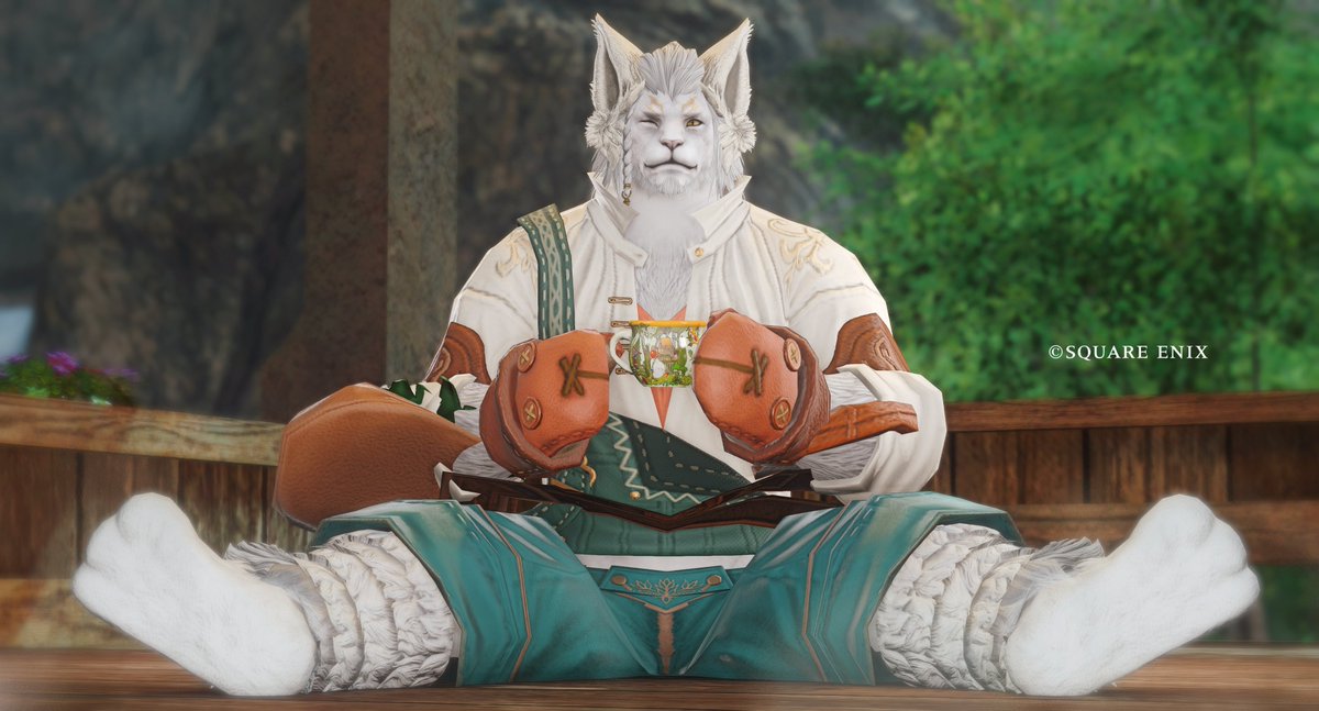 Sol Leone tweet media