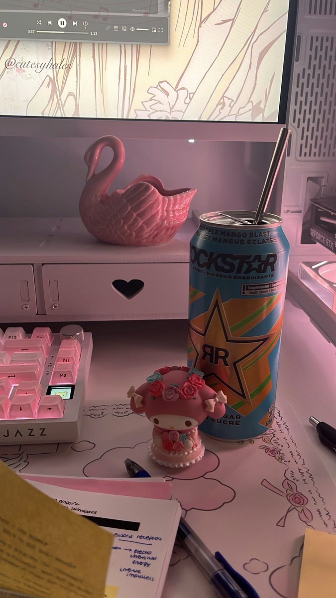 𑣲 lulu tweet media