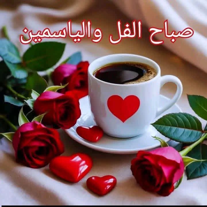 سهام tweet media