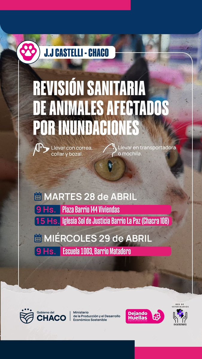 vetsxhelp's tweet photo. ATENCION en JJ Castelli - CHACO ! Revision sanitaria de animales afectados por las inundaciones.Martes28 /Miercoles 29 de Abril. Ayudanos a difundir reenviando este mensaje. https://t.co/pYUzuEzKny