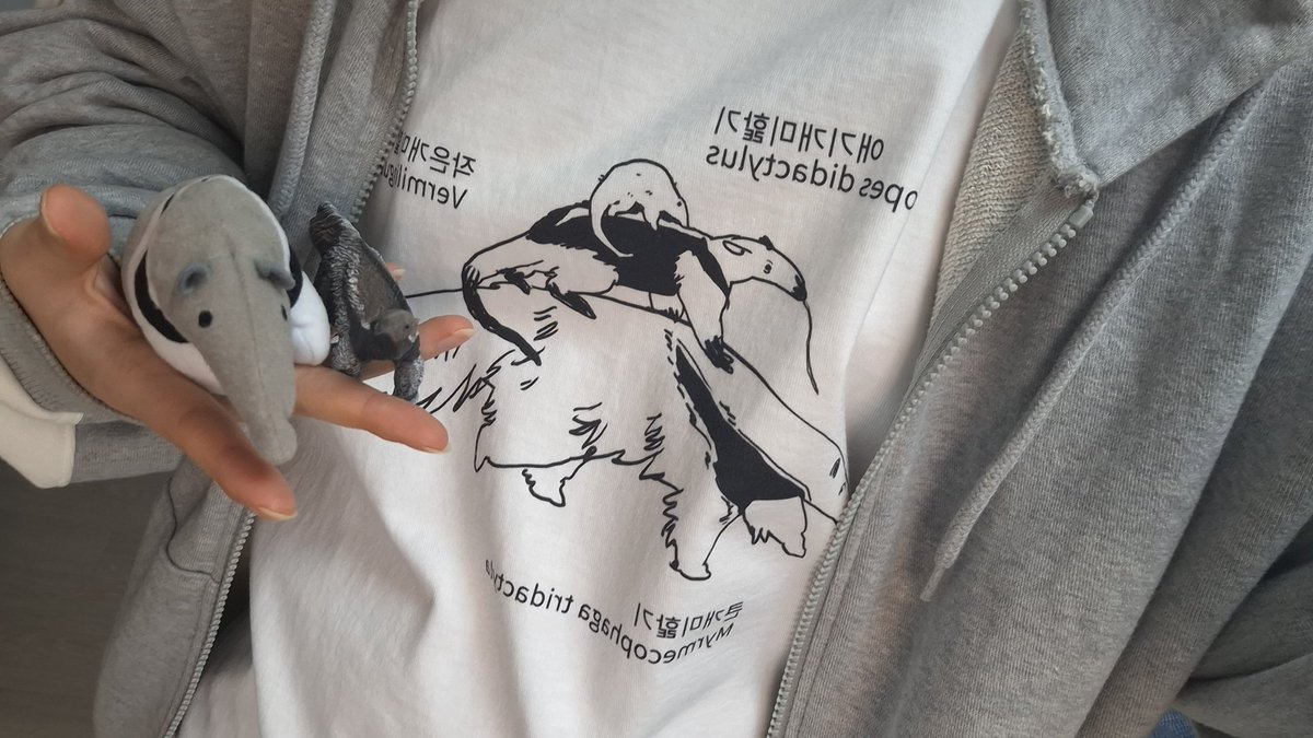 개미핥기 tweet media