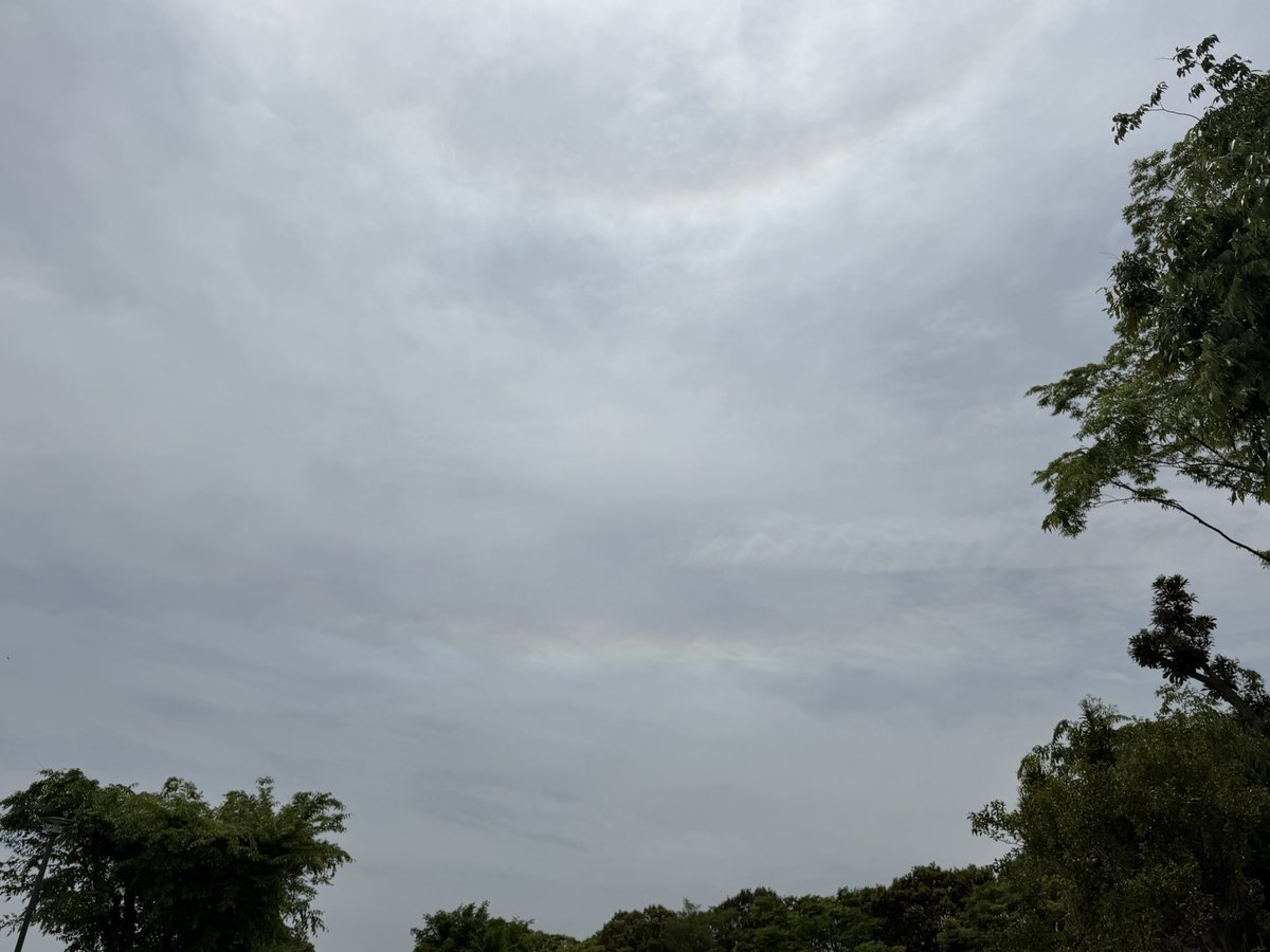 環水平アークが出てますよー！
11:44 つくば市
#大気光象
#環水平アーク