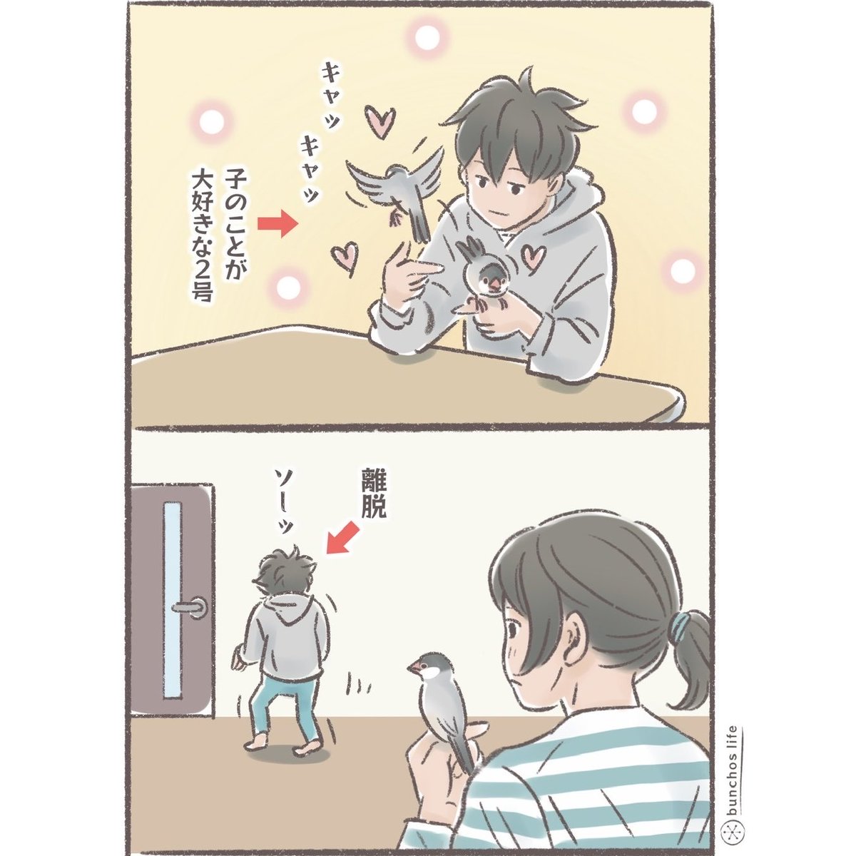 こむぎ🕊️ (@komugi_chan55) / Posts / X