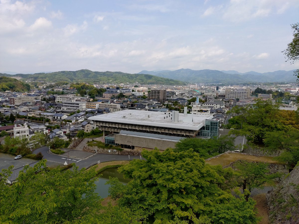 オカピ tweet media