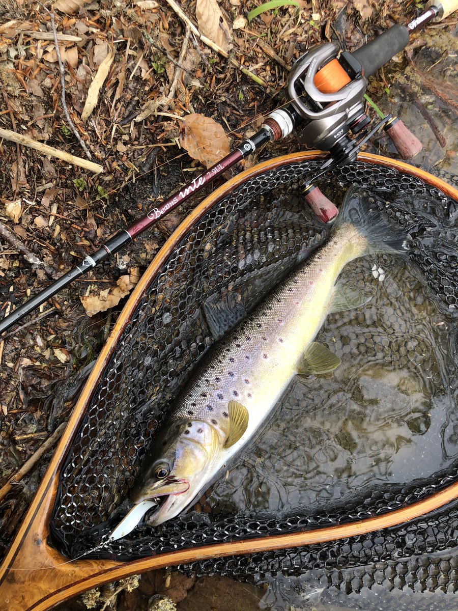 zisakukebari59's tweet image. 久し振りに朝まずめ釣行🎣けど土日にかなり人が入ったっぽくかなりシビア💦
でもルアーのカラーや誘い方を変えて何とか5匹✨寒気の影響で冷たい風が吹き雨がチラついてきたので昼前に撤退です😅
#北海道 #ベイトフィネス #Fishman #Beams #inte79UL #SHIMANO #Scorpion #BFS #BUX #ブラウントラウト