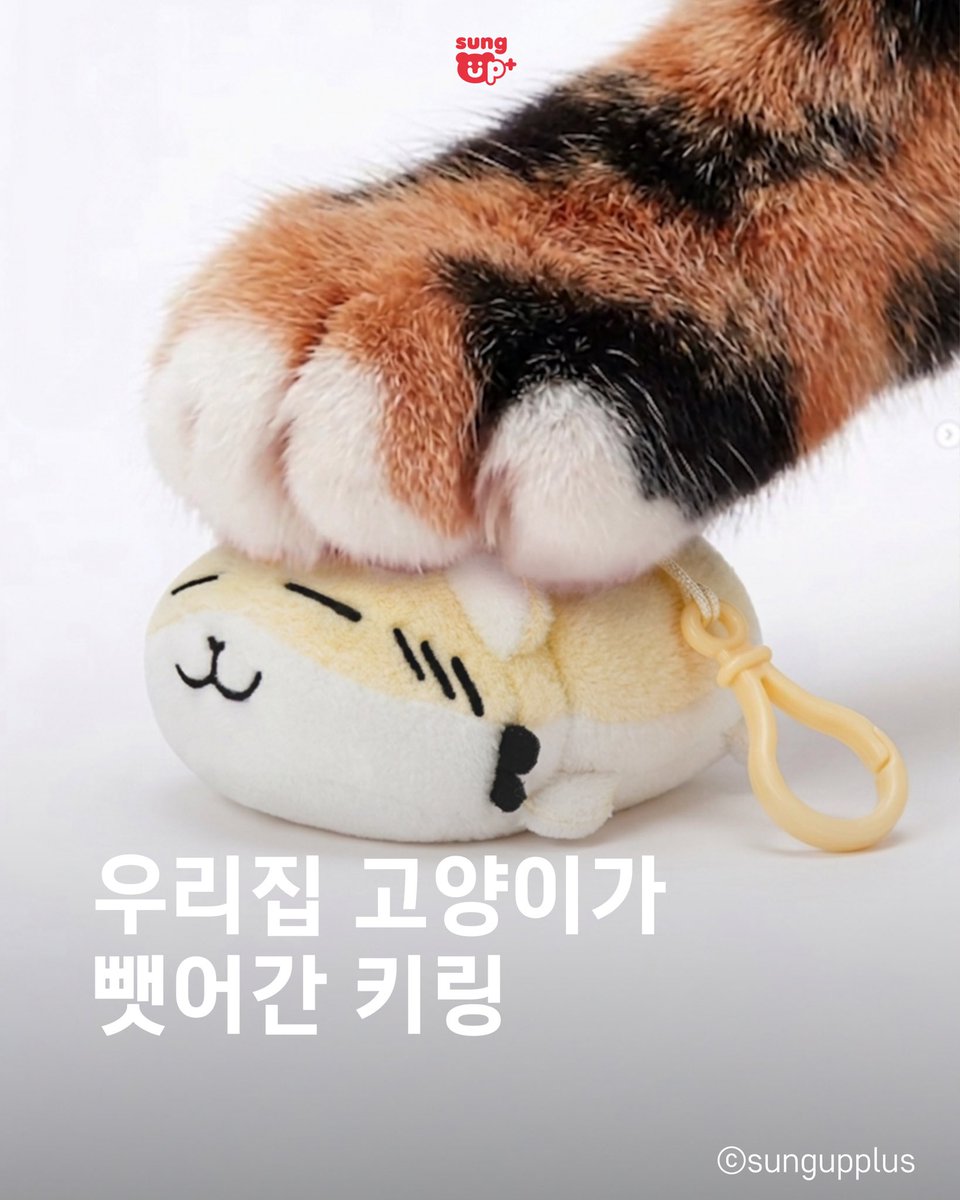SungupP's tweet photo. #RT + #FOLLOW
고양이도 탐내는 거 실화?🐾

우리 집 고양이가 뺏어가려고 하는 그거,
햄스터 쿠션 키링이에요 🐹

옐로우 · 그레이 · 핑크
세 가지 컬러 중에 내 픽은?👇

이 귀여움 못 참겠으면
댓글에 친구 태그해주세요 💛🩶🩷

------------------------------

“햄스터 쿠션 키링 3종” TYPE & SPEC
✔️ Color type
▪️ 옐로우
▪️ 그레이
▪️ 핑크

✔️ Size spec
▪️ 9cm

------------------------------

공식 인스타그램 보러가기 ->
https://t.co/ALqJSUGl37

🎨 @sungup.plus
#햄스터쿠션 #햄쿠 #햄쿠키링 #성업플러스 #sungupplus #캐릭터굿즈 #캐릭터키링 
#키링 #인형키링 #쿠션키링
#고양이 #고양이발 #고양이집사 #냥집사
#굿즈덕후 #귀여운굿즈 #가방꾸미기 
#가방키링 #소품샵 #캐릭터소품 
#미니인형 #햄스터 #귀여운캐릭터
#캐릭터샵 #굿즈샵 #힐링굿즈 #소확행 #덕후