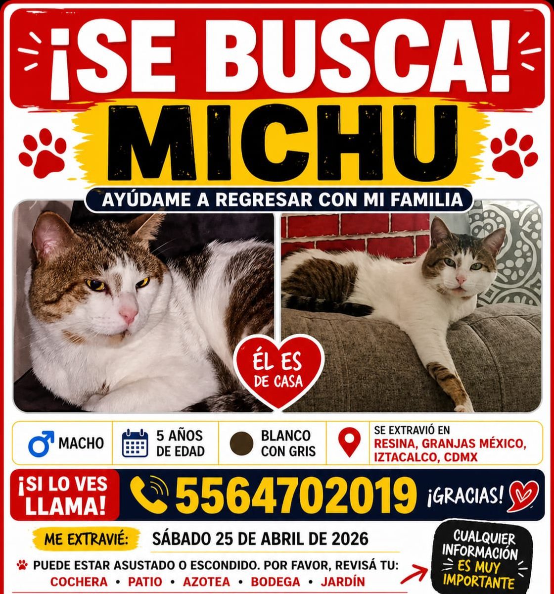 nmagdelit's tweet photo. #granjasmexico #iztacalco #cdmx #mascotasperdidas #calleresina https://t.co/yKNYmEHMT1