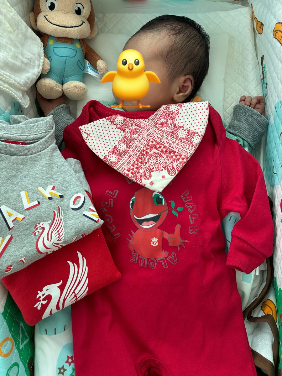 豆しとぎ tweet media