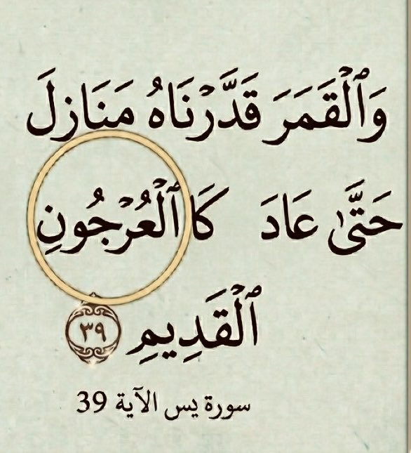 سعود tweet media