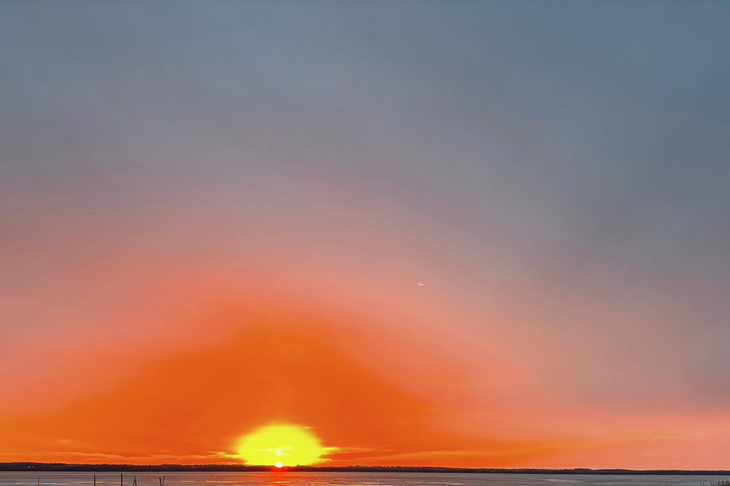 Lucy's Mom tweet media