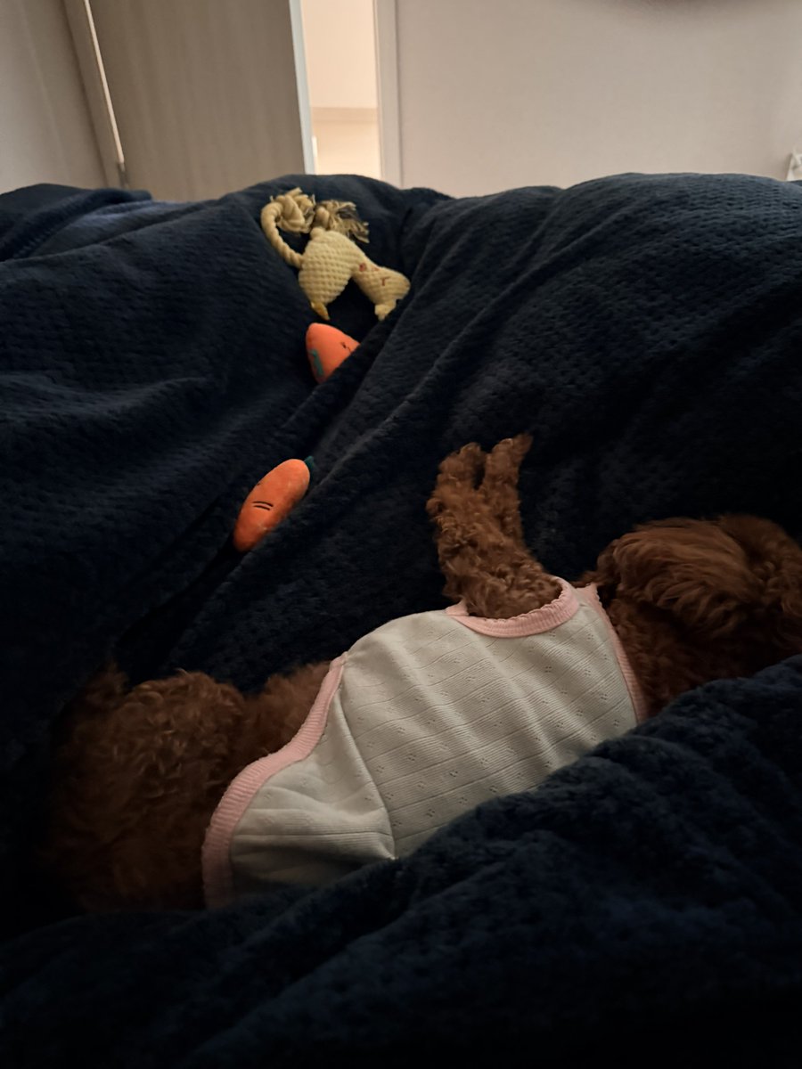 방향성 tweet media