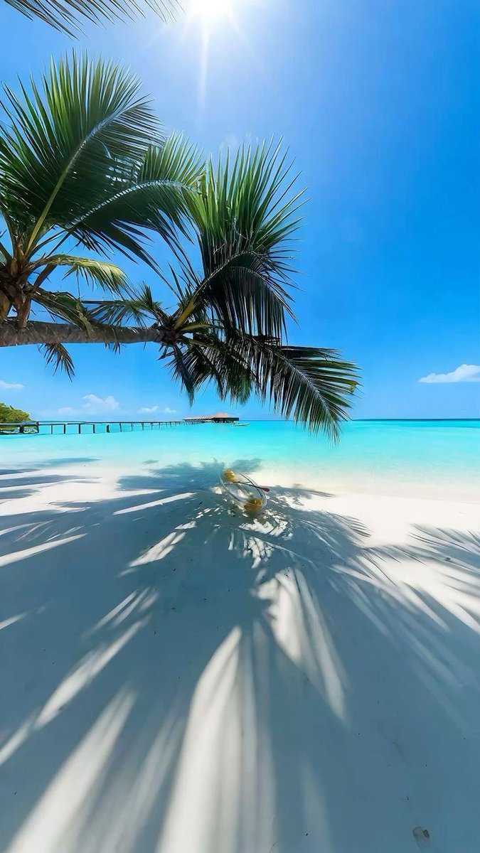 Aqua Vibes tweet media