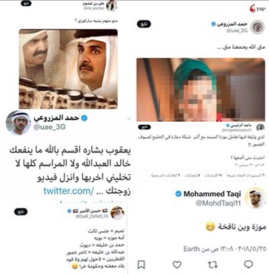 عشق 🇸🇦💚 tweet media
