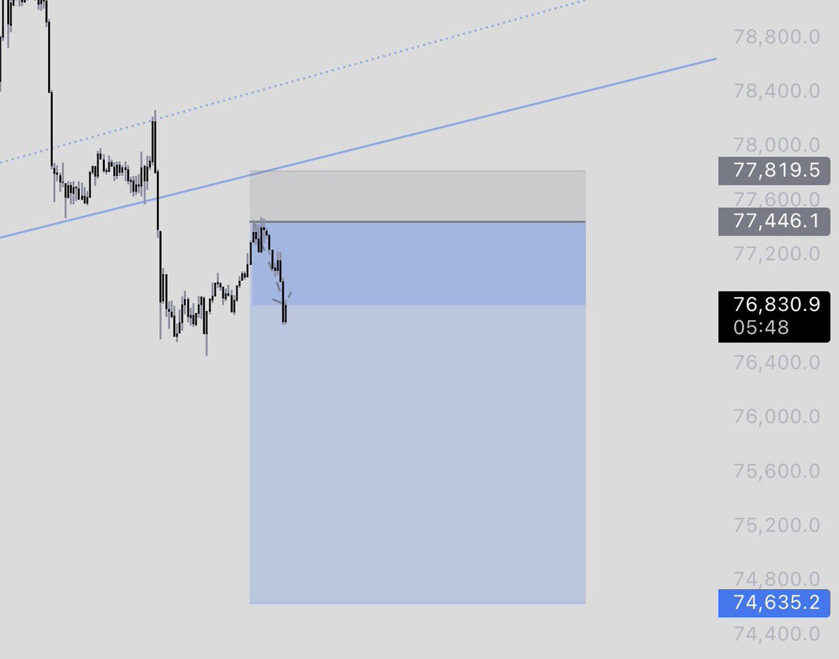 NellyTradez tweet media