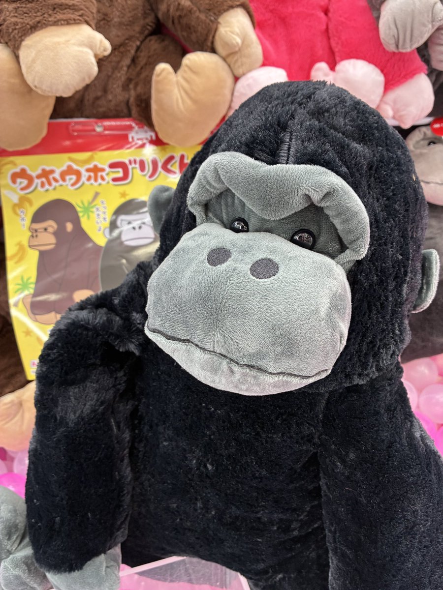 プライズ】新景品 『ウホウホゴリラくん超超ウルトラBIG』 ウホウホ