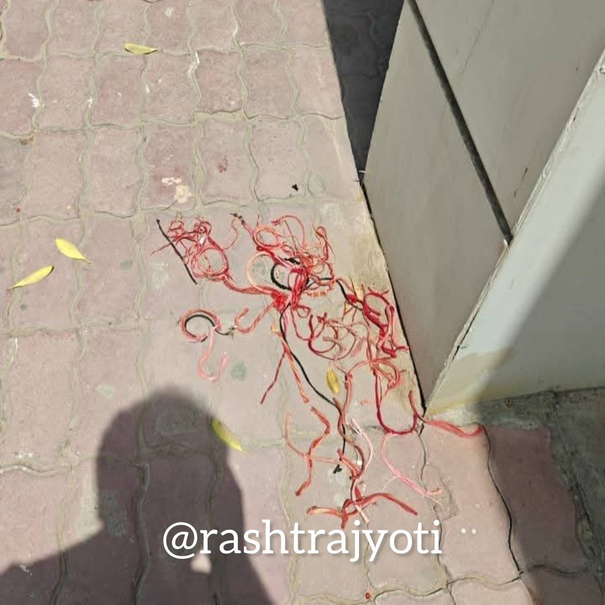 Ratan Ranjan tweet media