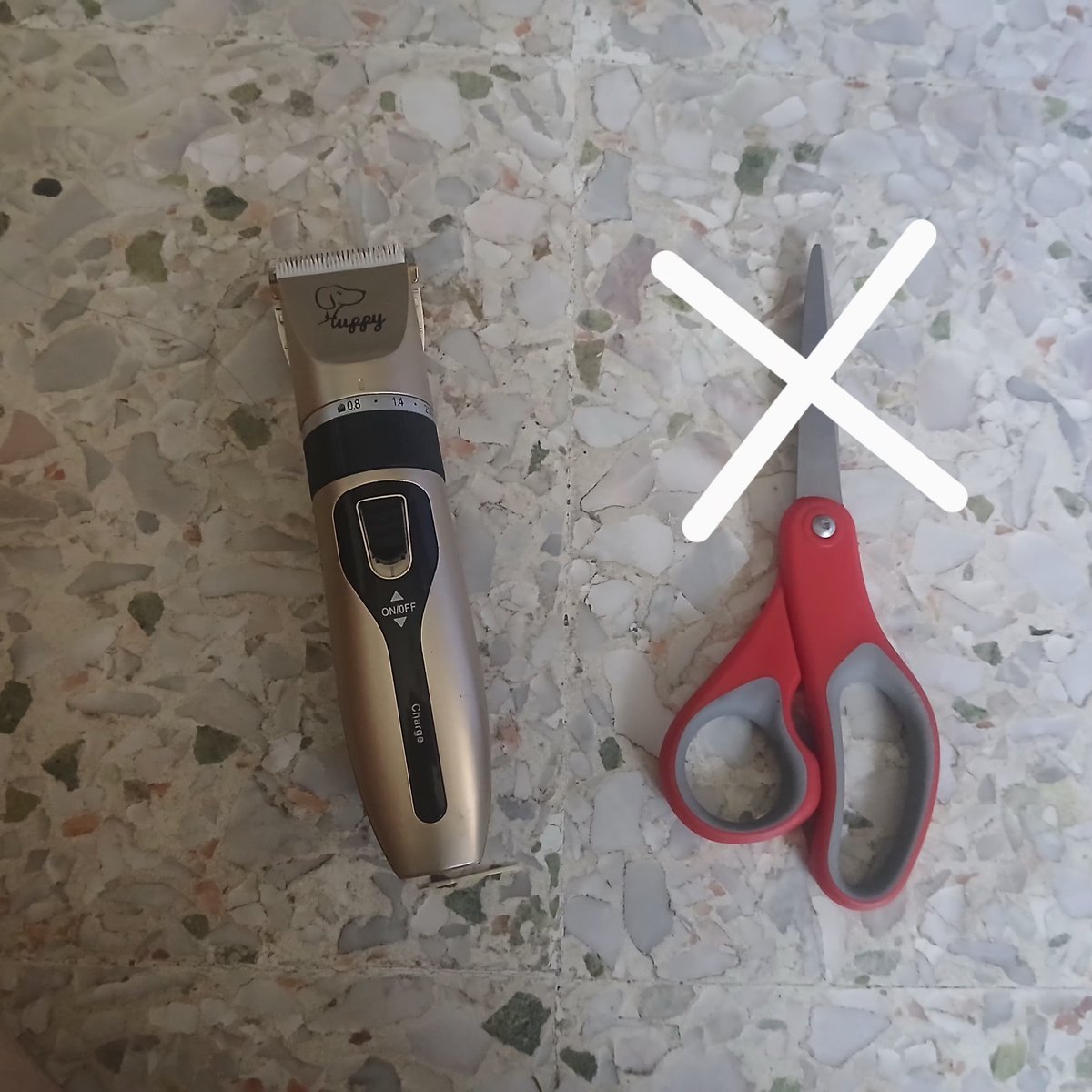 ee_sian's tweet image. Pet grooming tool:

Never use scissors, you may accidentally cut their skins.

Use a shaver like this.