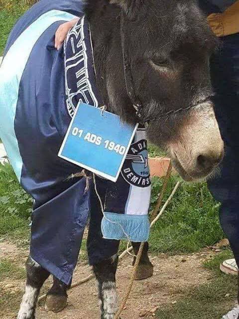 GeceYolcusu54's tweet photo. @allahinakadar01 @Goztepe @Sakaryaspor @BursasporSk @MiyFan @YALI_Dernegi @Tatangalar90 @teksasorg @SeytanlarFan https://t.co/cQO7Sx6U66