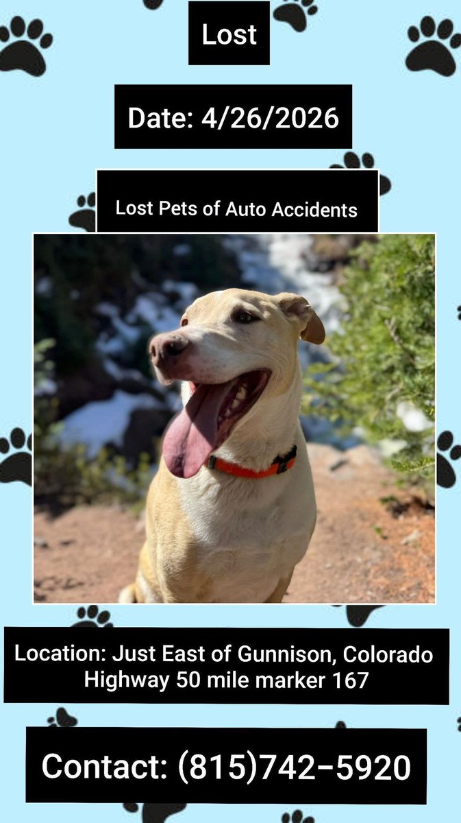 Theo ran off after a car accident
4/26/26
Just East of #Gunnison #Colorado
➡️Highway 50 at mile marker 167
Male
Lab Mix
Tan/Cream
75Lbs
No collar
Last seen running Westbound towards Gunnison
Contact(815)742-5920 w any sightings
buff.ly/jVwGjBy #CO #Lostdog #GunnisonCounty