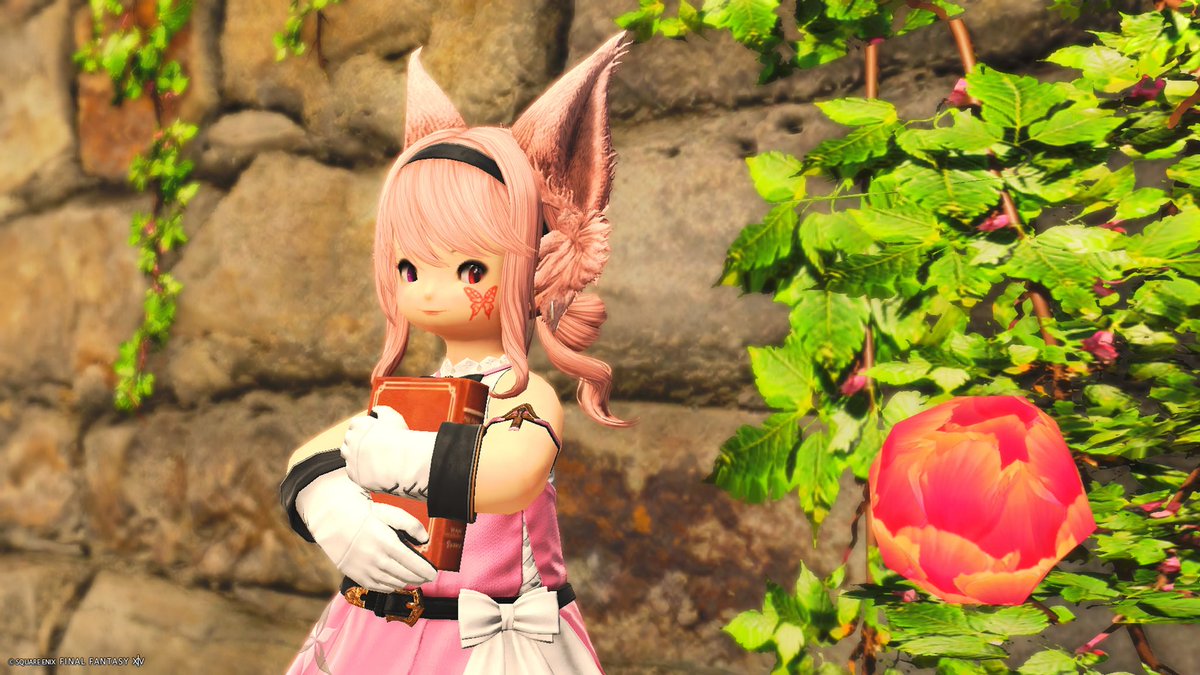 Stella & Sugar tweet media