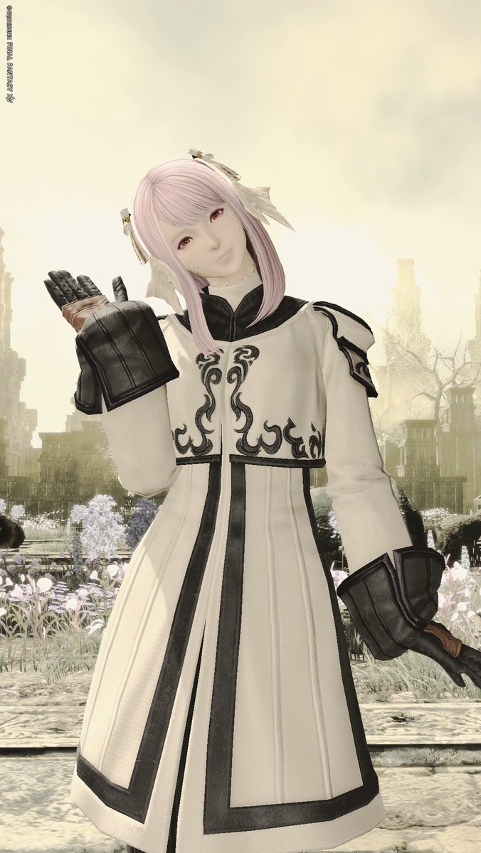 Stella & Sugar tweet media