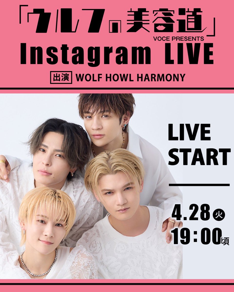 WOLF HOWL HARMONY【公式】 tweet media