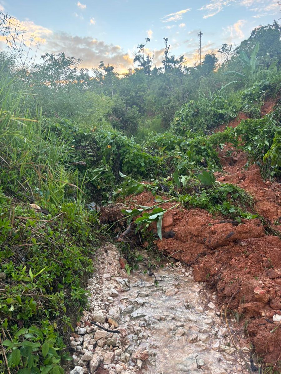 Rampanpiza tweet media