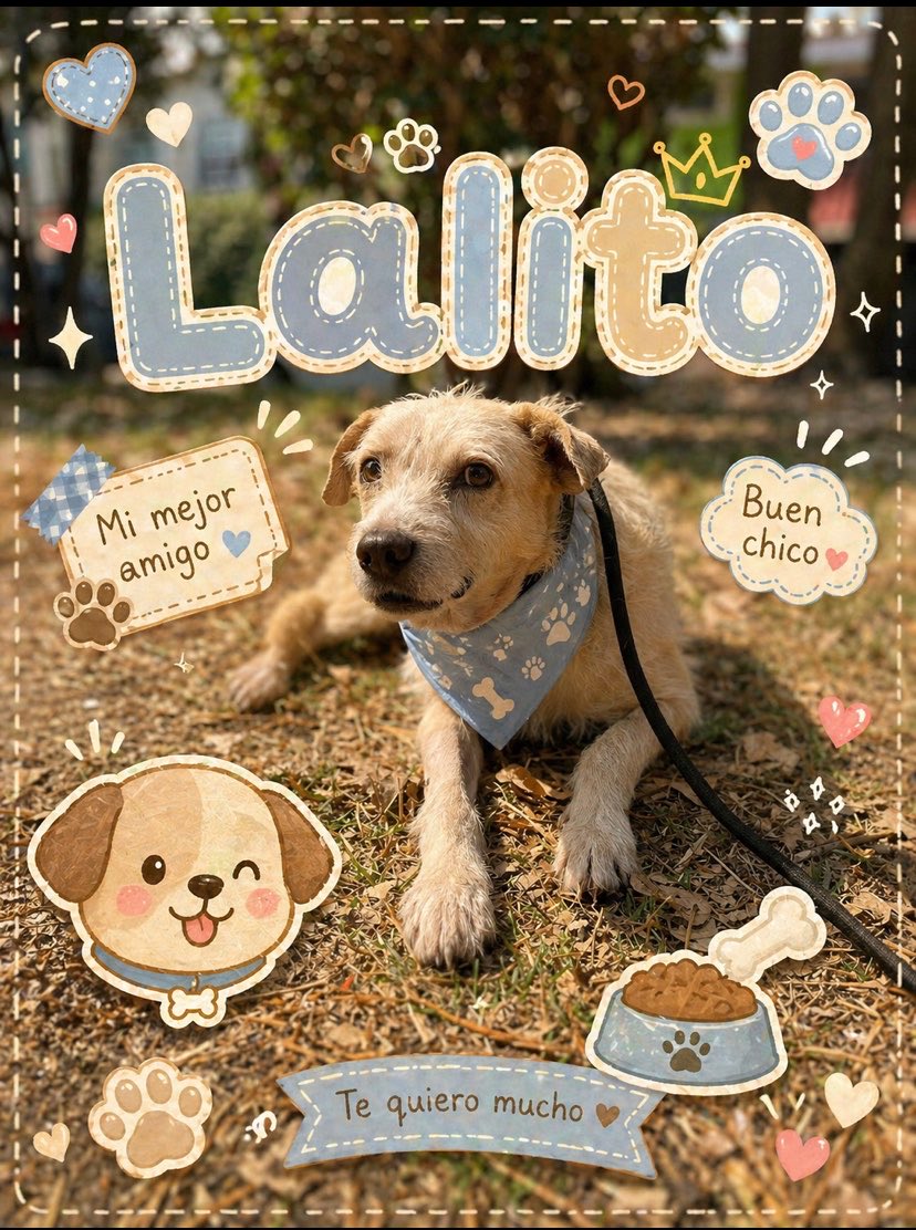 𝙷𝚎𝚕𝚊 𝙼𝚘𝚛𝚎 🐶 tweet media
