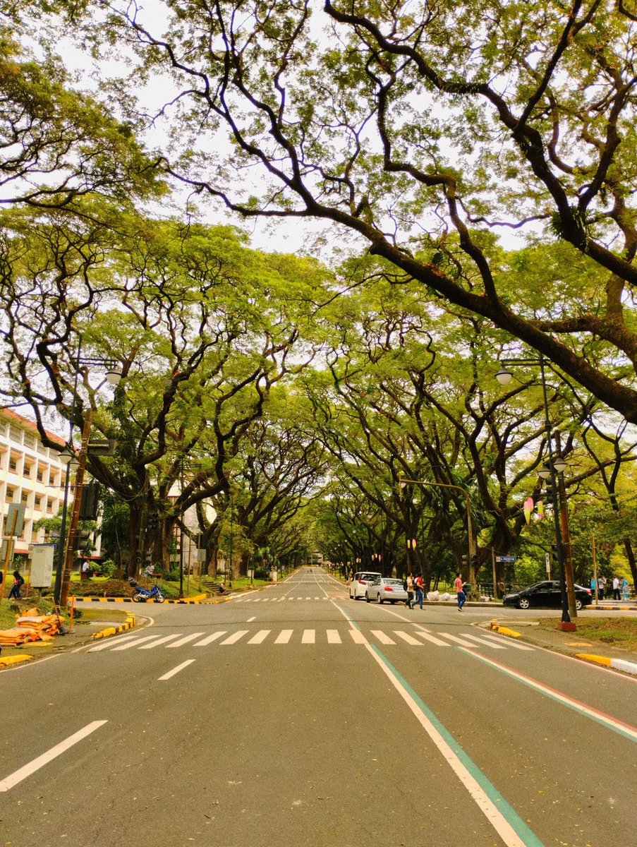 magic_hour1212's tweet image. Introducing myself! LF mutuals 🏙️

About Me: 📦
- Hi! I’m an incoming first year engineering student at UPD 🌻
- I love books (sci fi, fantasy), movies &amp;amp; series (harry potter, alice in wonderland, stranger things)☕️
- virgo &amp;amp; intj 
- i do tarot  

#studytwt #upd #student