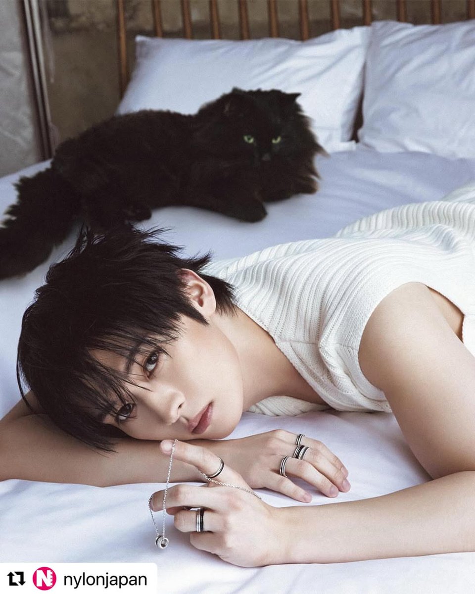 linogram tweet media