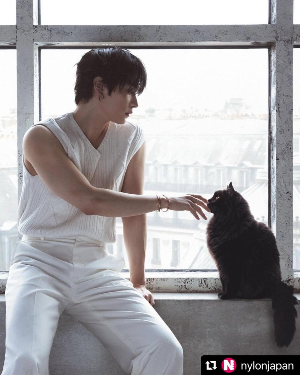 linogram tweet media