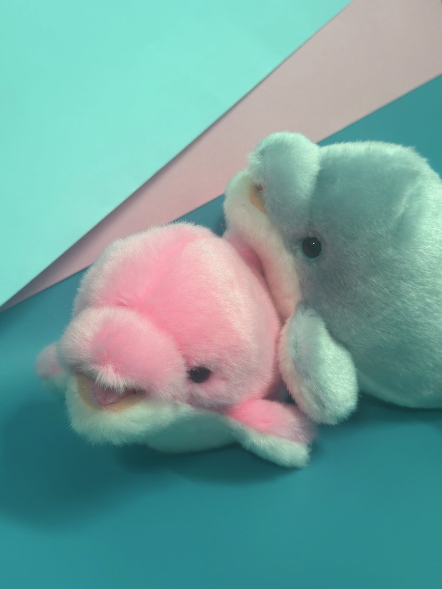 🌹✨ はなパラ ✨🌹 ピンクとブルーの2色のイルカ🐬 かわいい