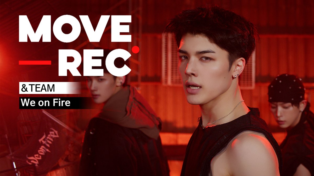 dingo(딩고) tweet media