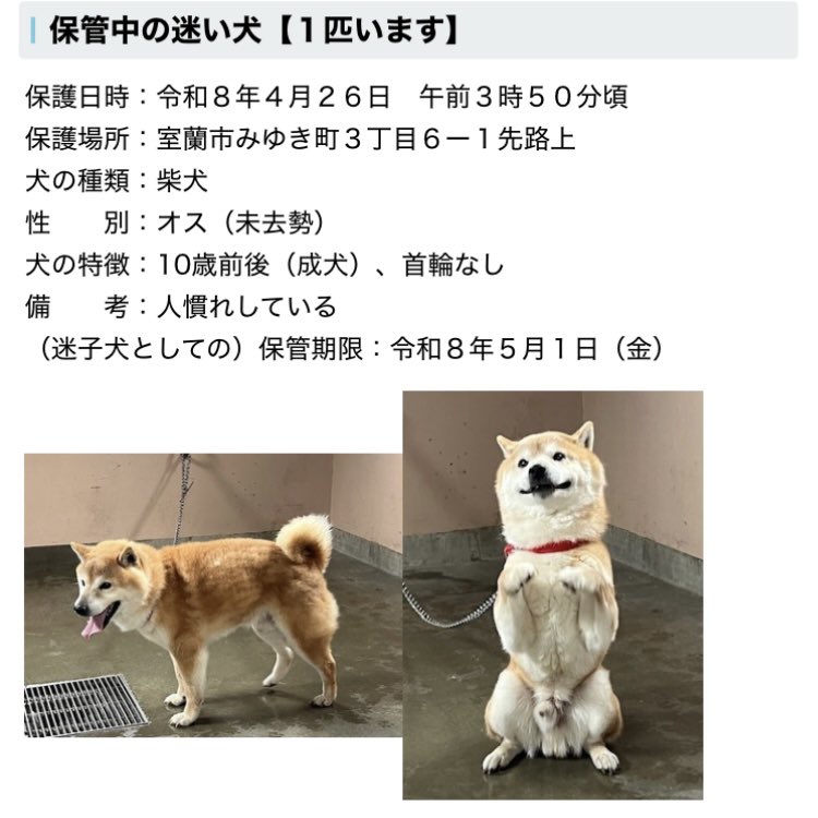 ににこです tweet media