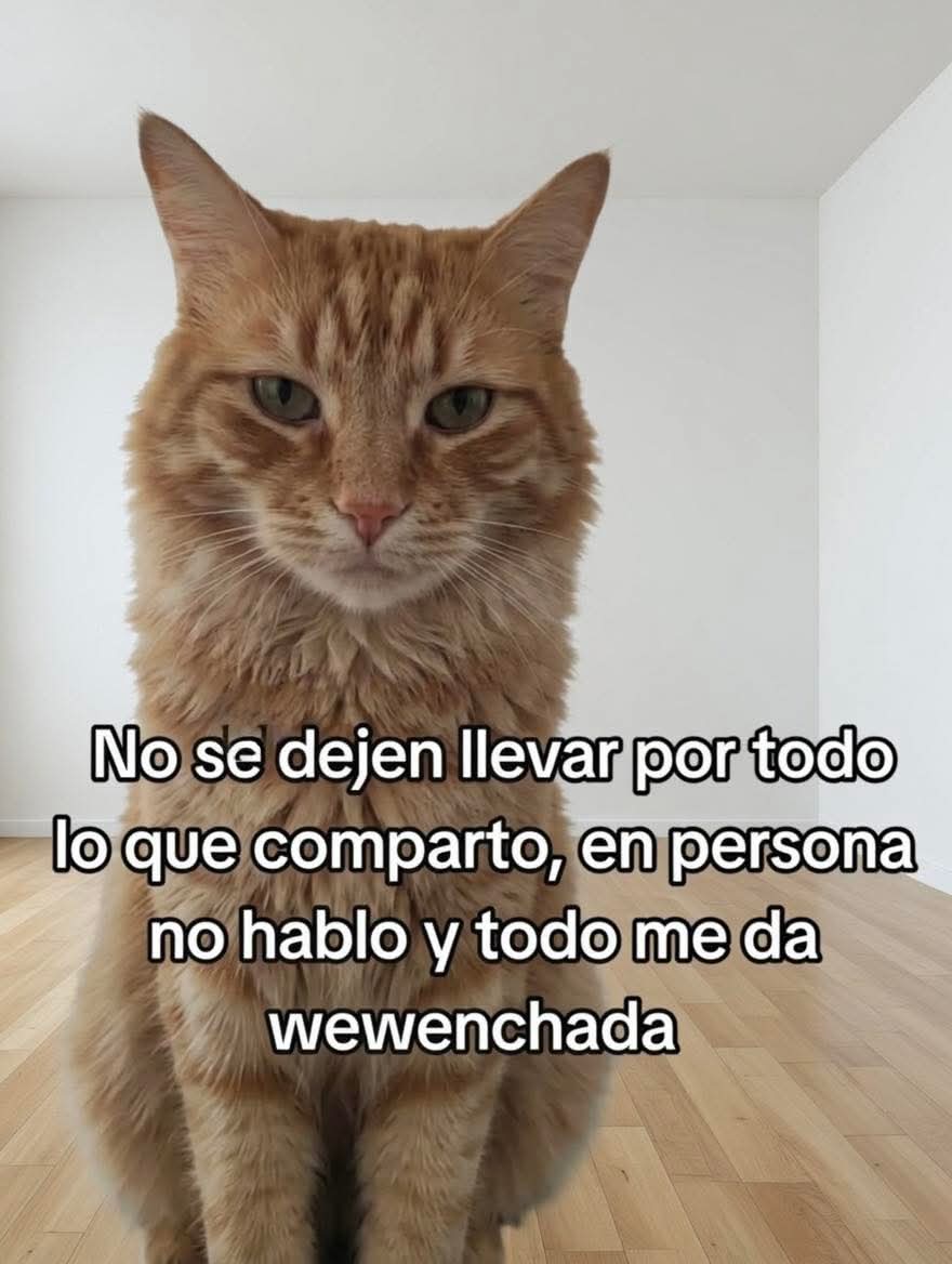 En Júpiter tweet media