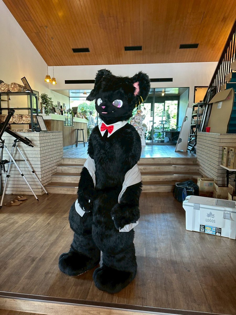 #ゴロゴロニャー