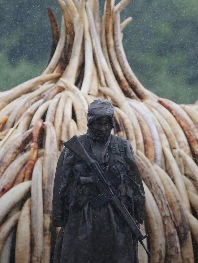 detikative tweet media