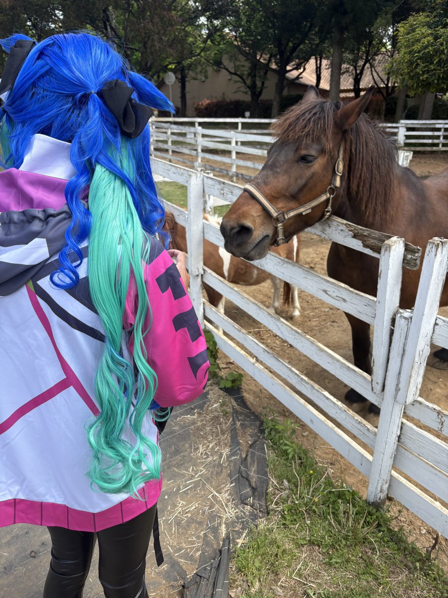 メイメイ@4/5a! tweet media