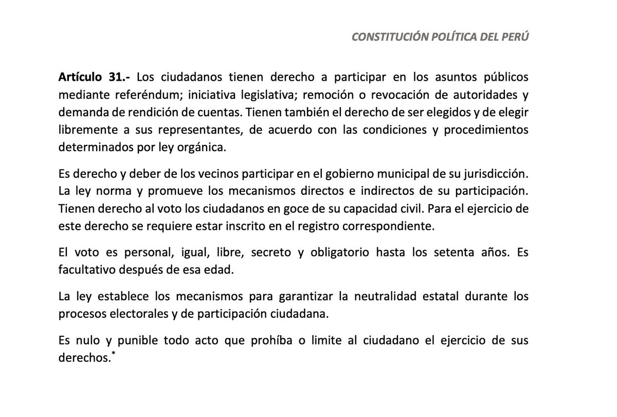 Las elecciones deben ser anuladas, ante el evidente fraude, de acuerdo con el artículo 31 de la Constitución.