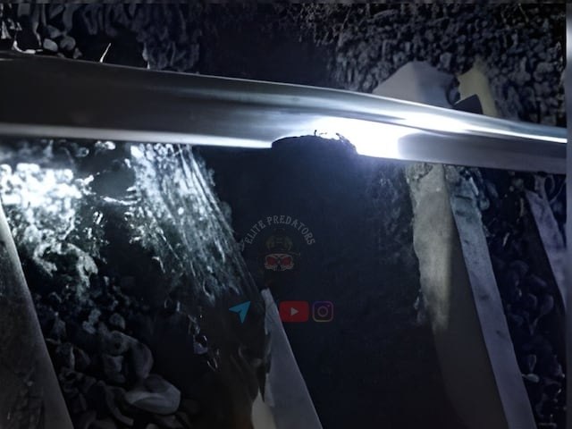 Elite Predators tweet media