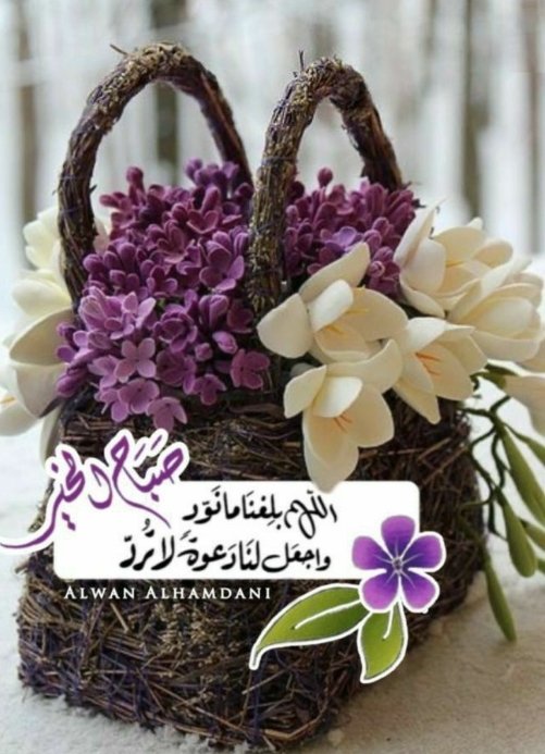 نـــــــٌ🕊دى tweet media