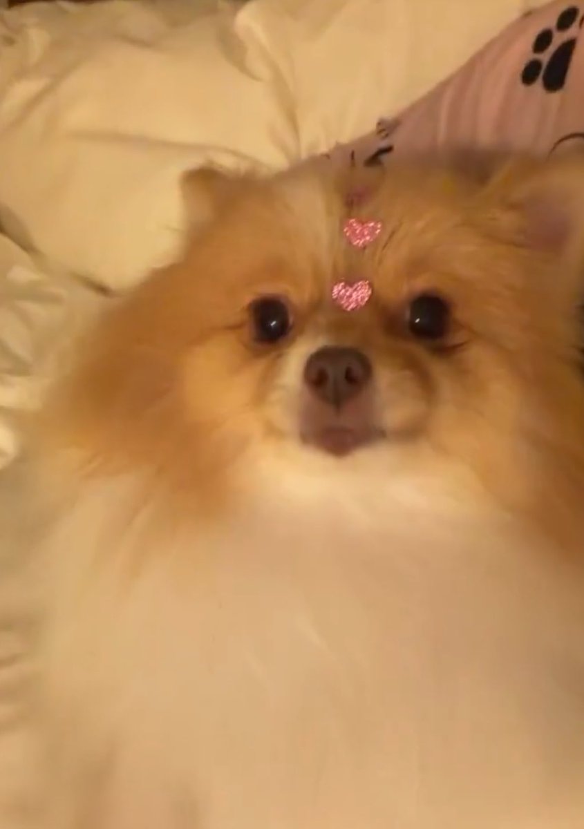 amanda ⚡️ tweet media