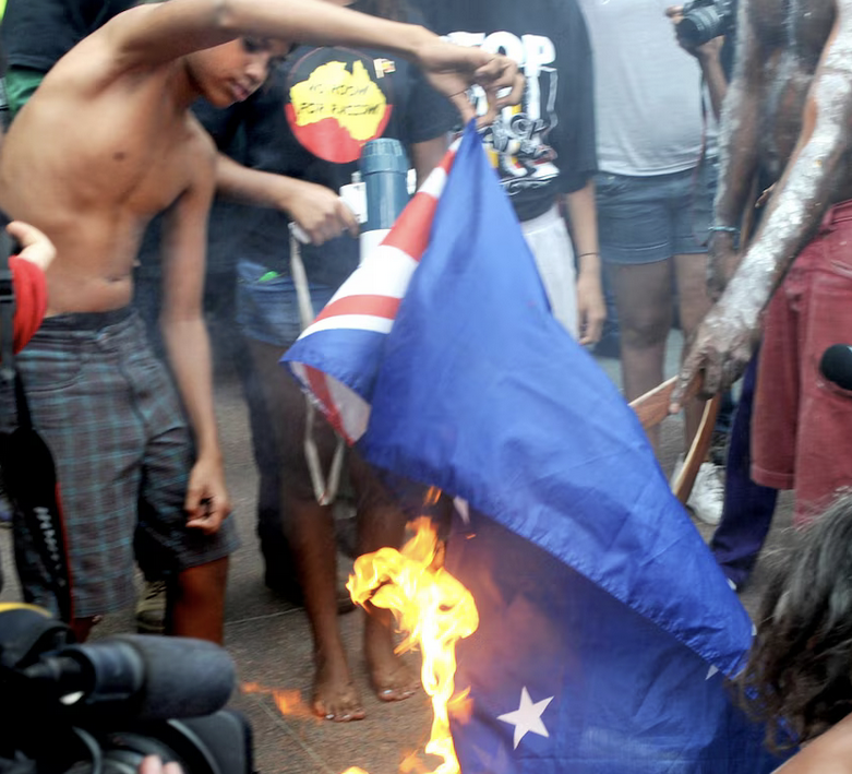 Shady@TreesHaveFeelings tweet media