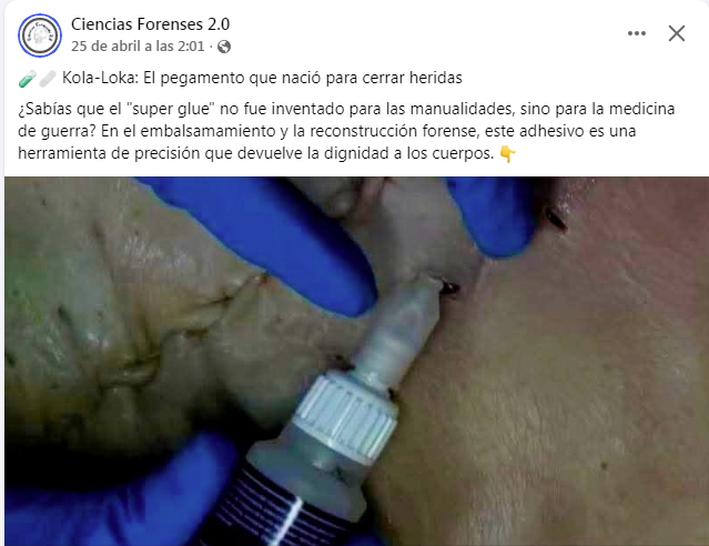 SGM Gisela,soberana del Reino del Nuevo Santander tweet media