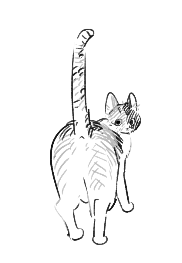 고양이 발 …그리고… X꼬