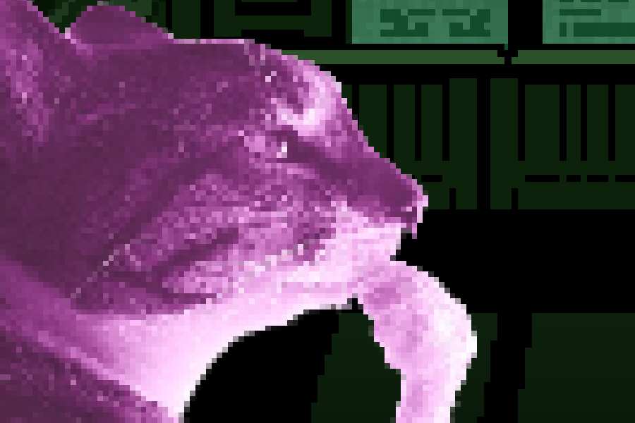 Susie tweet media