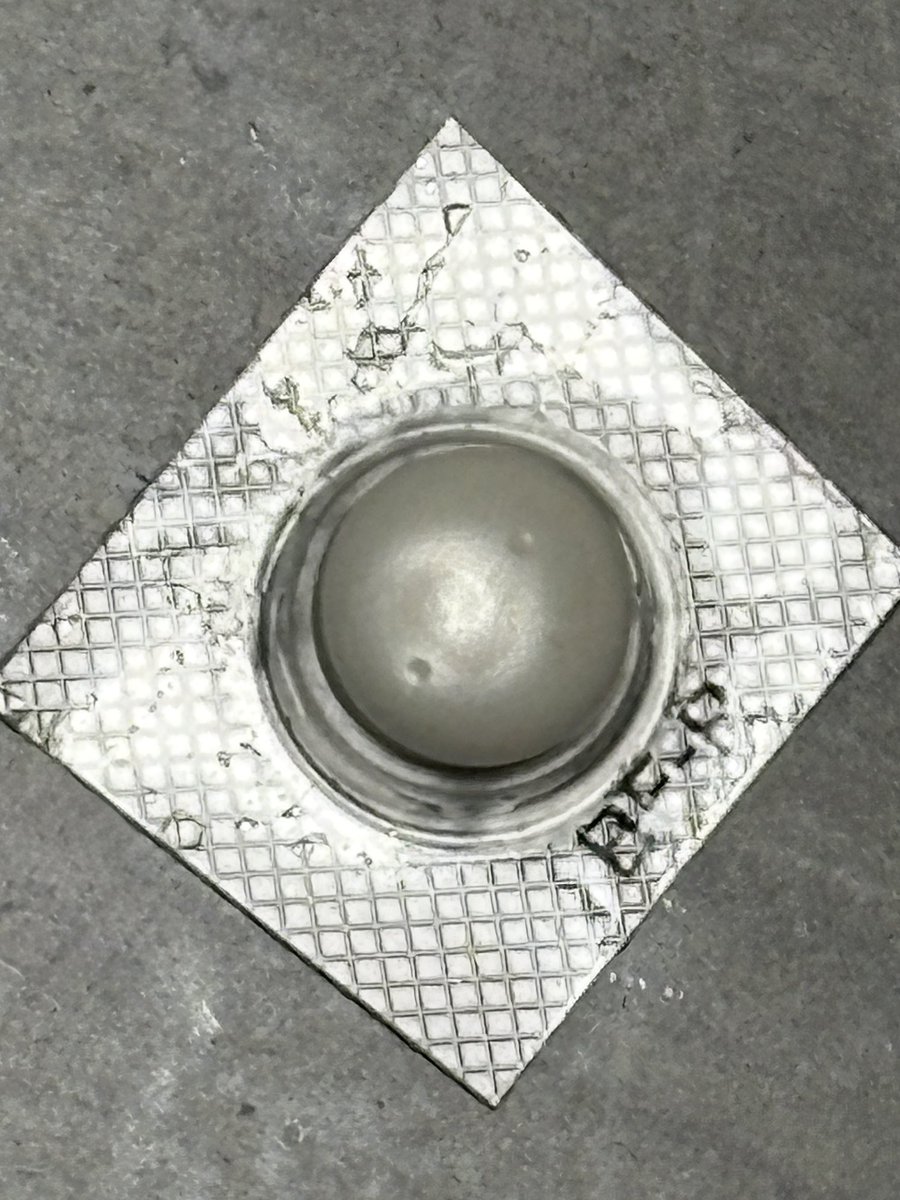 ギャルネコ 脂肪注入DT tweet media