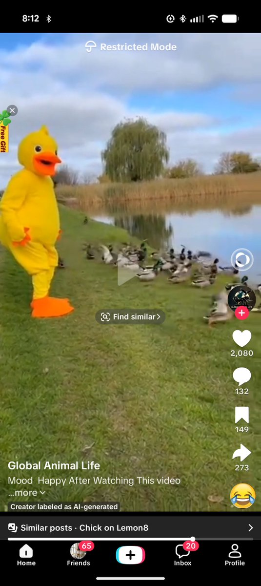 Benjamin_Clason's tweet image. @emilyetaylor23 @oregonfootball  Puddles scared the little duckies away? 😂 🦫 @realbeaverswag @thedigitaldam @1BeaverBeliever @BeaverSheets @OSU_EWOK @osubeavs21 #GoBeavs #OregonState