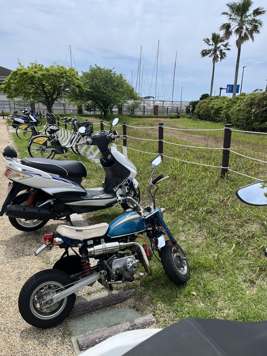 z50pj's tweet photo. 久しぶりの
猿できた！ https://t.co/uHssolUMP2