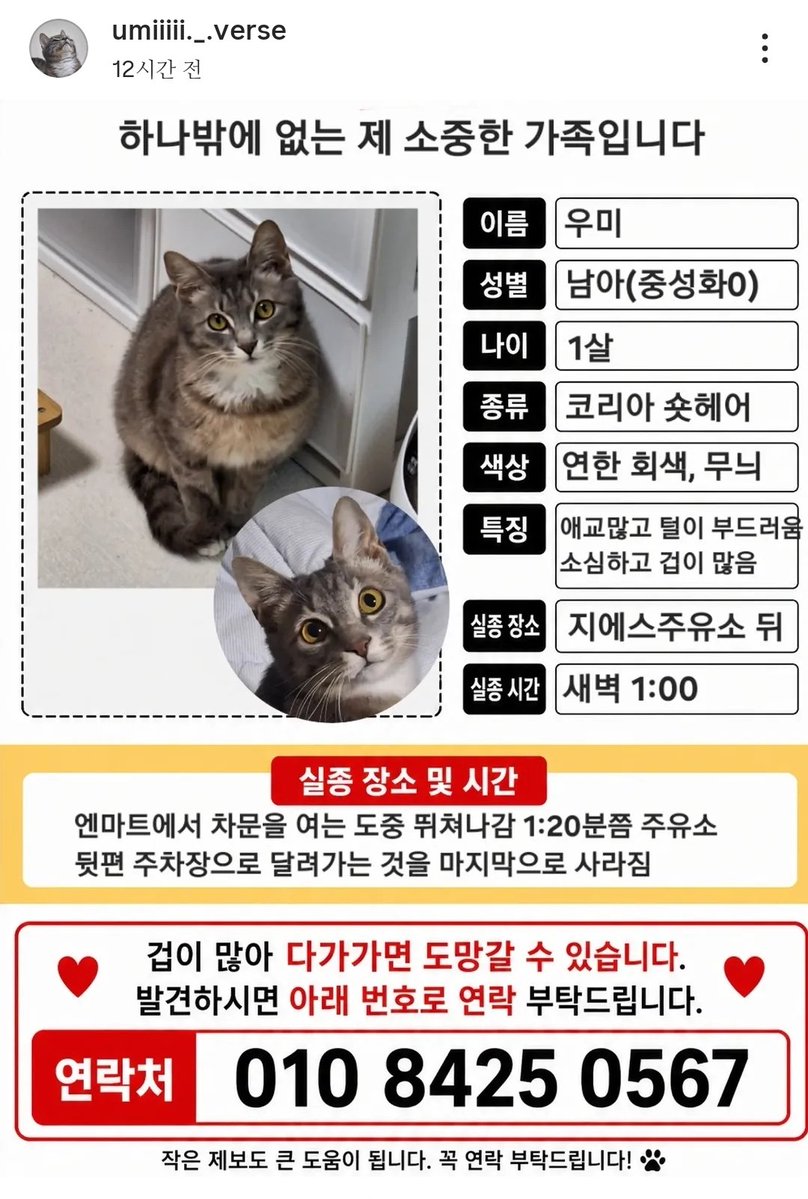 꼬미🐾니안 tweet media